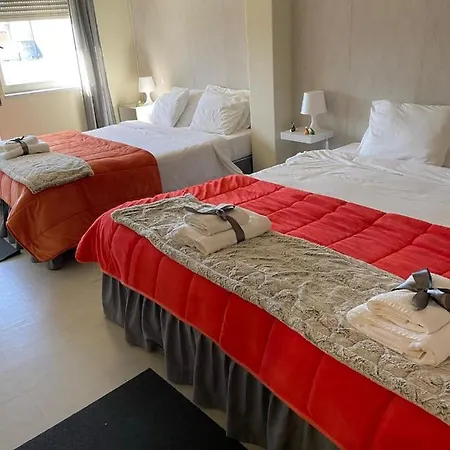 Hostel Liber