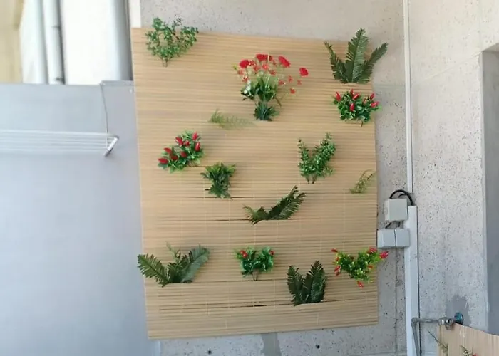 Liber Albergue Braga